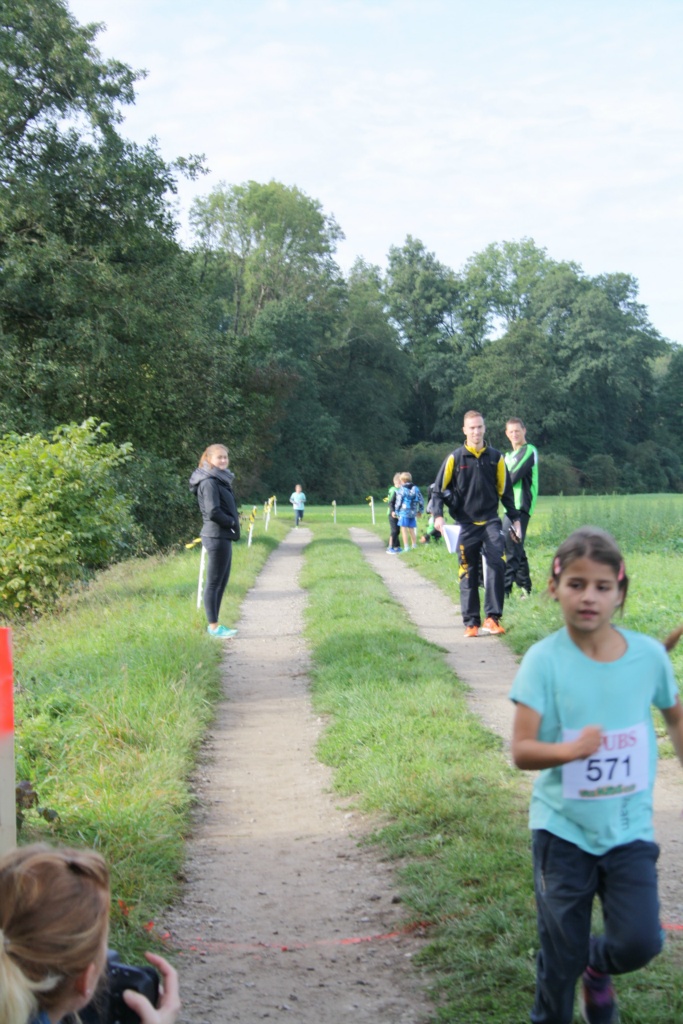 Bild 1 (45)